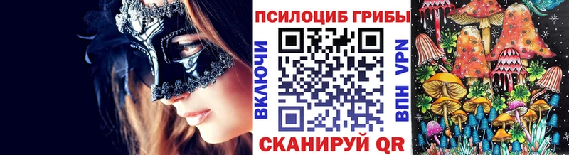Псилоцибиновые грибы Psilocybe Снежинск